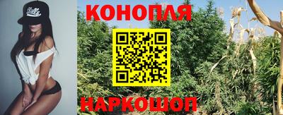 ECSTASY Канаш